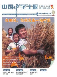 中国中学生报